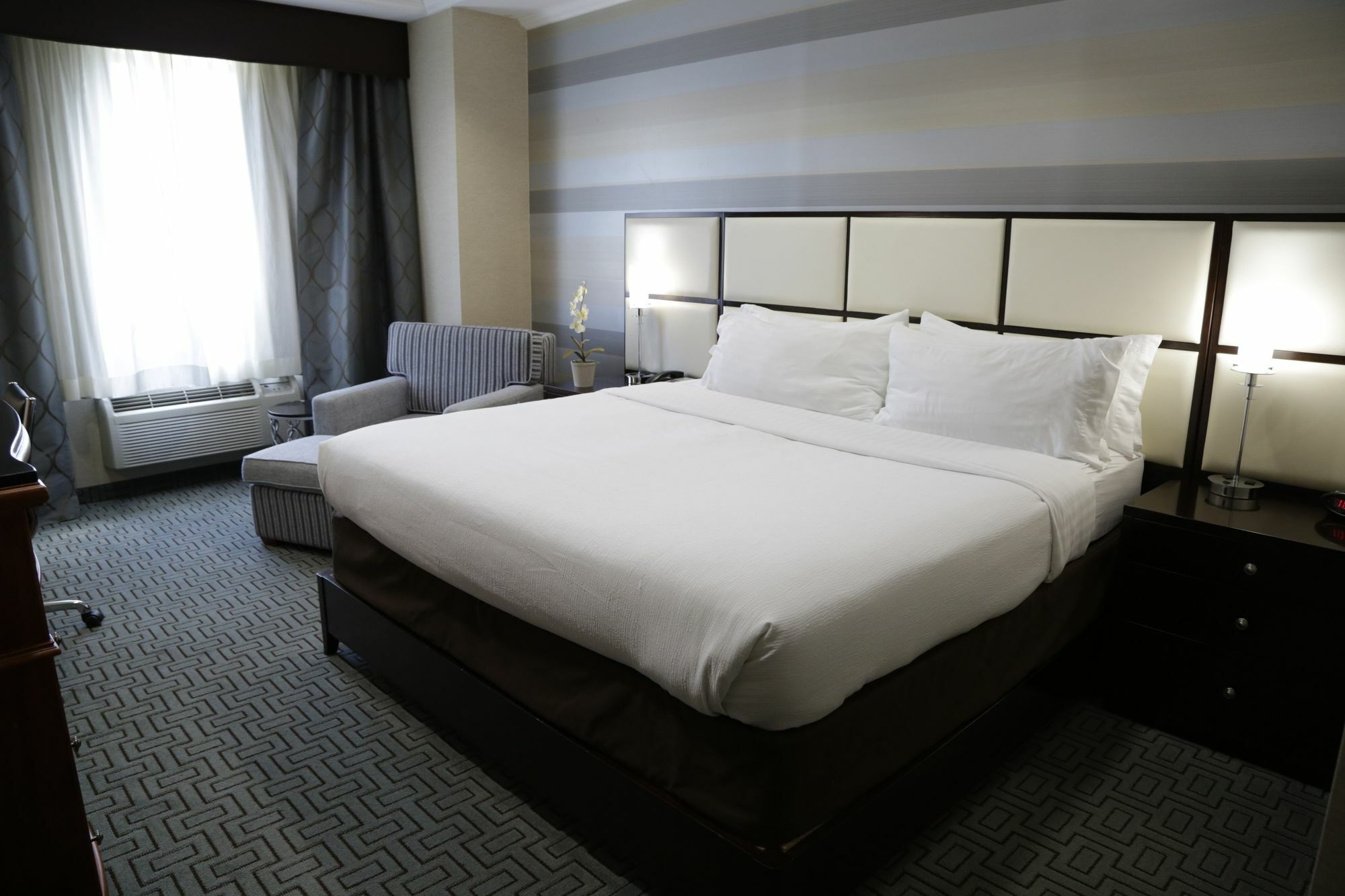 Holiday Inn Plainview-Long Island By Ihg Exterior photo